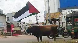 Four minors carrying Palestinian flag